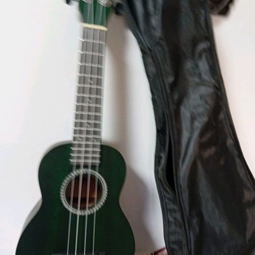 Classical and electroacoustic guitars with cases new