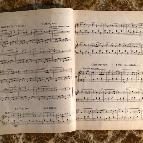 OESTEN Vintage Piano Learning Edition for Beginners Used