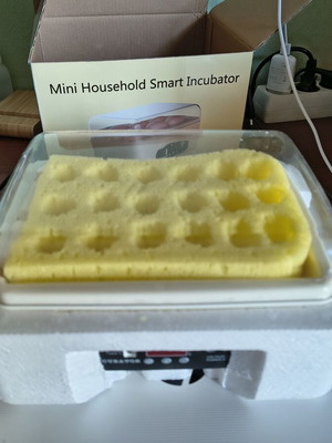 Portable electric incubator for transporting up to 18 queen bee cells