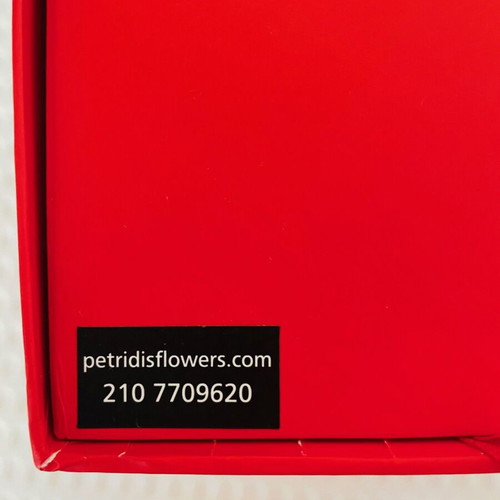 Petridis 23 roses new, not sprayed