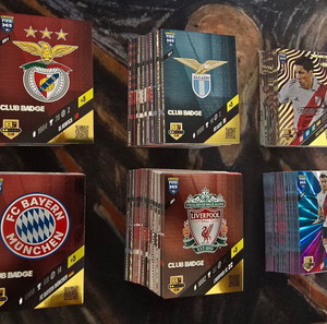 Panini adrenalyn xl fifa 365 2024