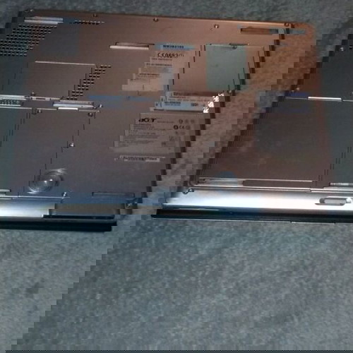 acer
