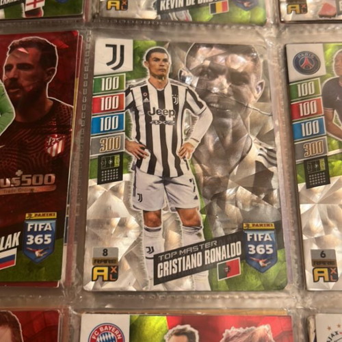 Panini Collectible Top Master Cards 2021-22 like new with protective cover