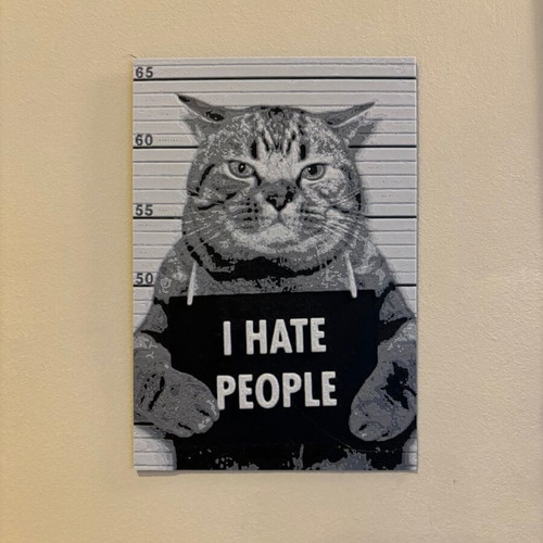 Decorative 3D Cat Mugshot Print New