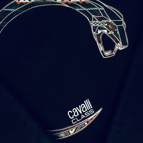 Roberto Cavalli sweatshirt men's size M used, black, unisex