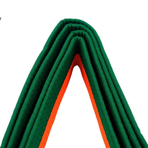 Legendary martial arts belt orange green new