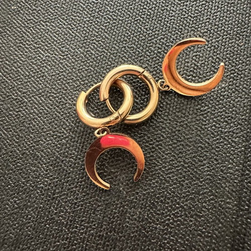 Stainless steel gold crescent moon earrings