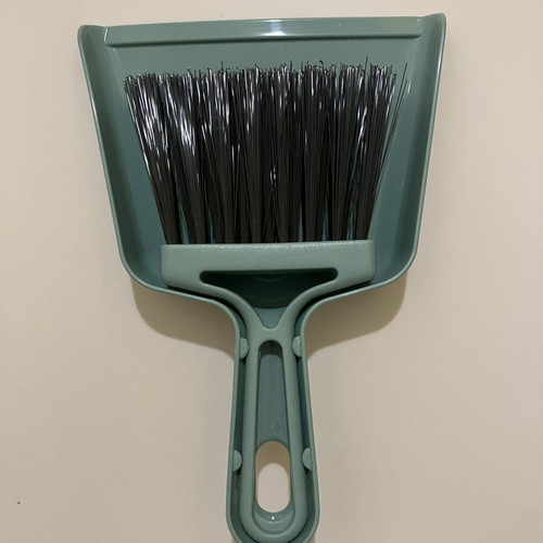 Dustpan with brush