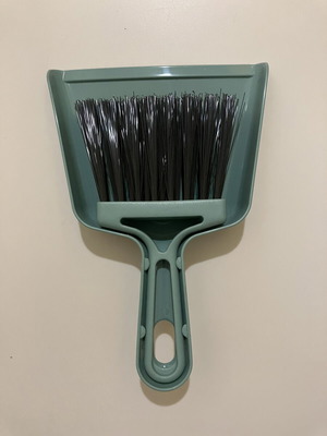Dustpan with brush