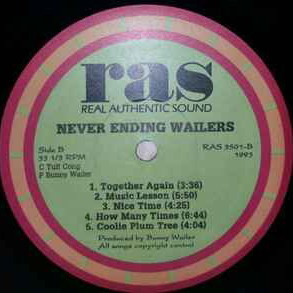 The Never Ending Wailers record used