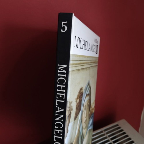 Michelangelo art book like new