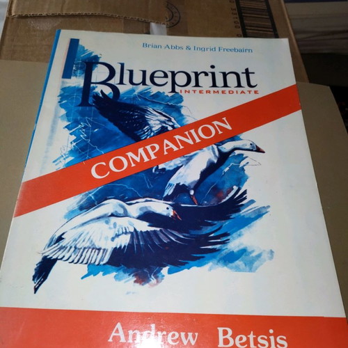 Blueprint English learning books new with workbooks and companions