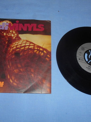 I Touch Myself Divinyls vinyl used, 45 rpm record
