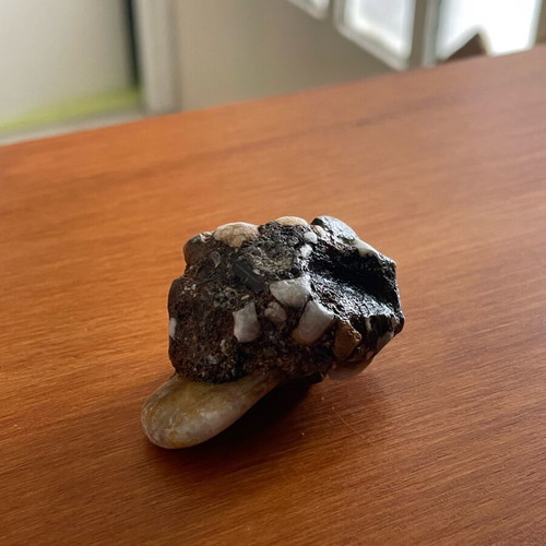 Conglomerate rock new with natural cavity