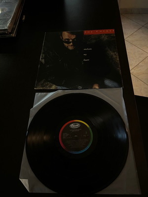 Unchain My Heart Joe Cocker vinyl used, rock