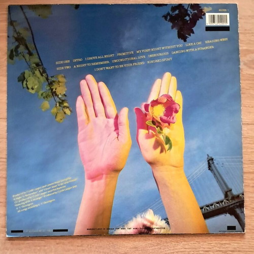 Cyndi Lauper A Night to Remember LP, pop