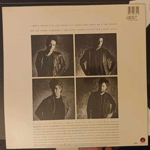 The Call Into the Woods LP used, new wave
