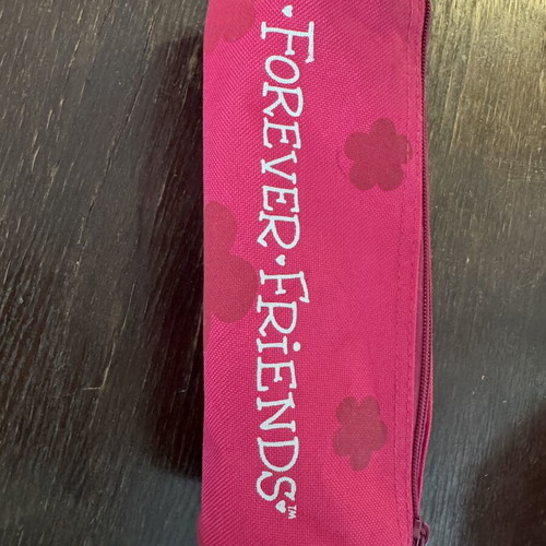 Forever Friends Pencil Case like new