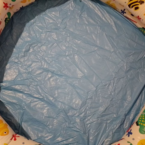 Inflatable children's pool with fish design used