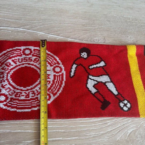 Germany Team Munchen Football Scarf Deutsche Meister Fussball Knit 2005 like new