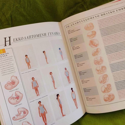 The Female Body Dr. Miriam Stoppard 2003 like new