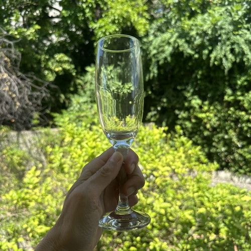 Pasabahce Imperial Champagne Glasses set of 6 new in box