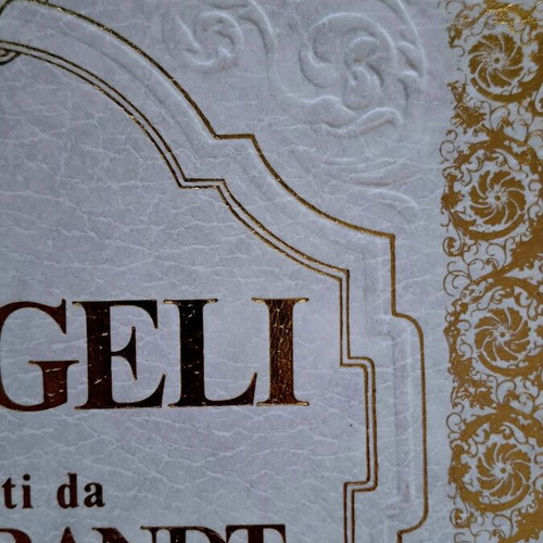 Hardcover book I Vangeli illustrati da Rembrandt like new, Italian