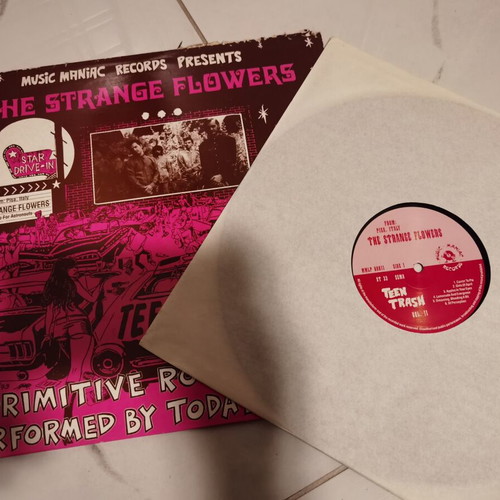 Strange Flowers by Teen Trash vinyl like new
