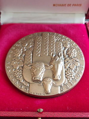 Large Collectible Medal like new, Credit Agricole Mutuel by R.B. Baron