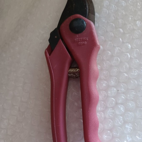 Pruning shears used CodeT3