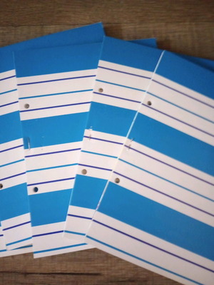 Replacement leaves for binder 5 pcs new, lined SKAG