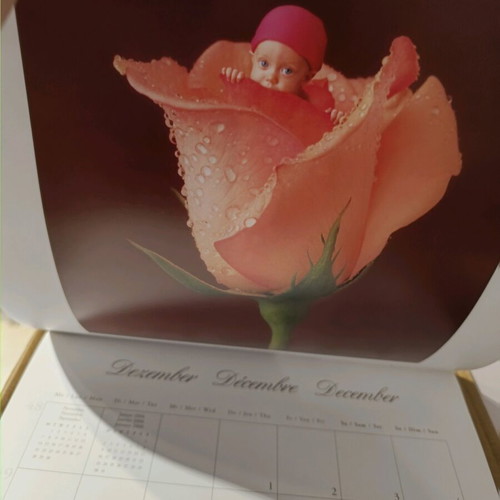 Anne Geddes 2006 calendar like new with photographic material