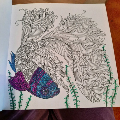 Fish coloring book used