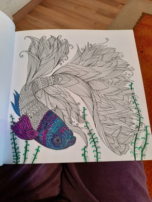 Fish coloring book used