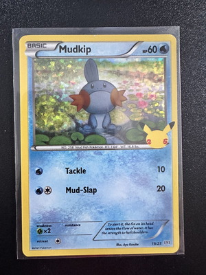 Mudkip 19/25 McDonalds 2021 Holo card new