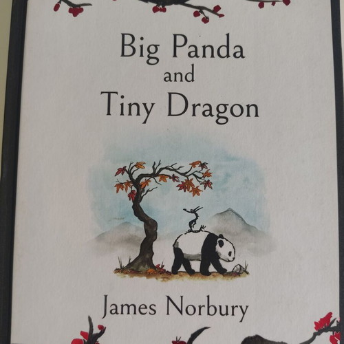 Big Panda and Tiny Dragon children's book like new, English