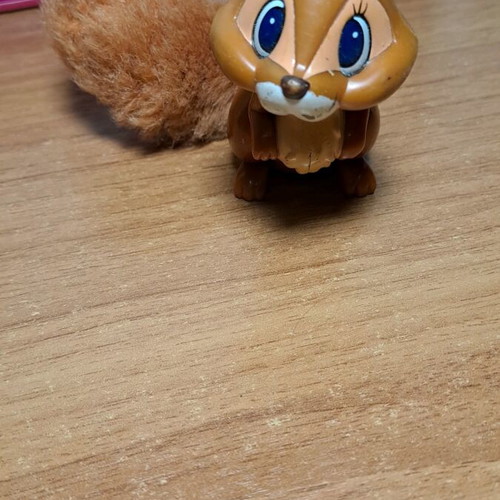 Squirrel miniature used