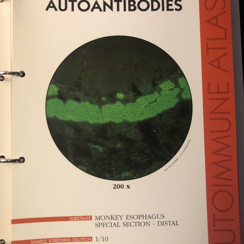 Autoimmune Diseases Atlas book used