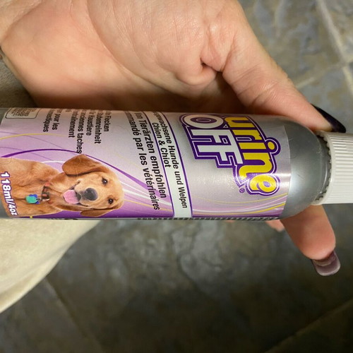 Special scent for cleaning dog or cat urine odors new