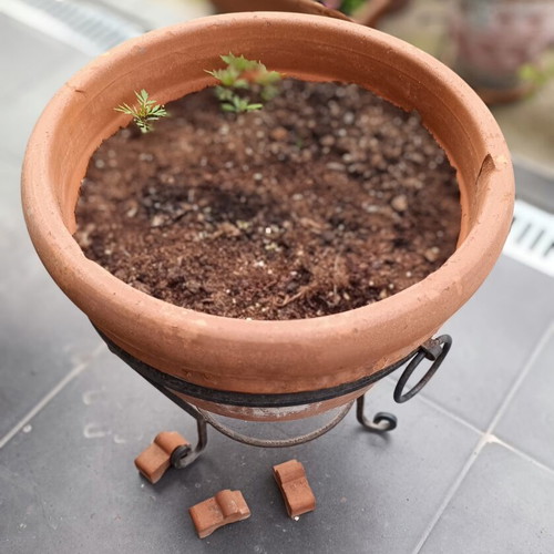 Large terracotta pot with metal stand and clay wedges, used