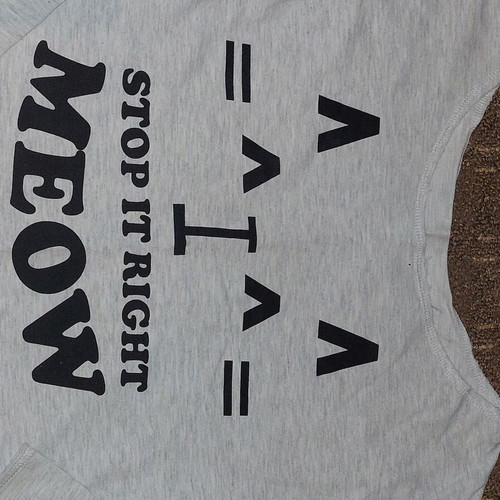Gray T-shirt with Cat Print like new, size S