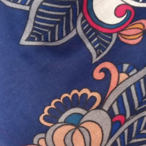 Ppargois scarf, blue multicolor