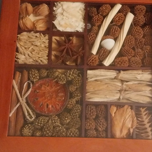 Frames with dried decorations, set of 4, like new