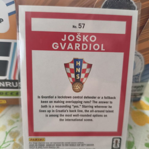 Josko Gvardiol Silver Donruss Panini Road to FIFA World Cup card new