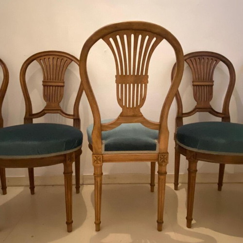 Classic wooden Louis XVI chairs set of 6, like new with velvet seat