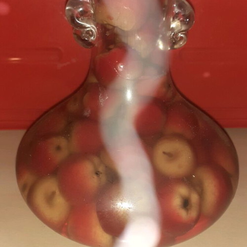Rustic Decorative Vase with Wild Small Apples used
