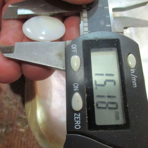 Mother of pearl M.O.R cabochons and shell pack new