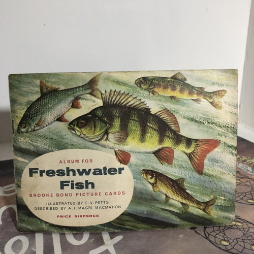 Vintage Brooke Bond Tea cards Freshwater Fish complete set used