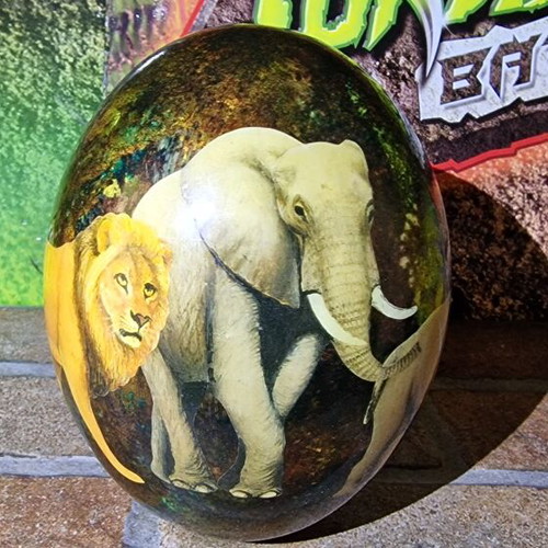 Ostrich Egg for Decoration like new