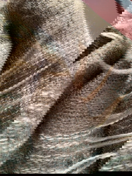 Zara knitted scarf